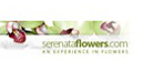 Flowers Cheap From Serenata
